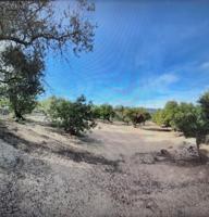 Chalet en venta en Aldover, Aldover photo 0