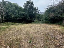 Parcela en venta en Cangas de Onís, Área de Cangas de Onís photo 0