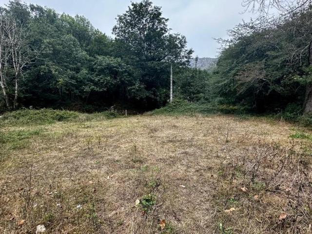 Parcela en venta en Cangas de Onís, Área de Cangas de Onís photo 0