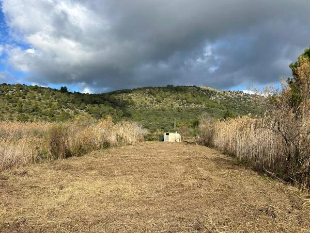 Terreno en venta en Alcúdia, Pobla (Sa) photo 0