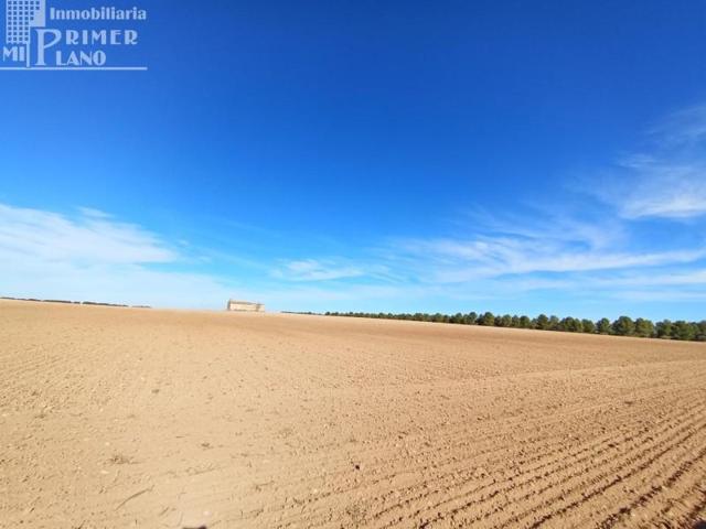 Parcela en venta en Argamasilla de Alba, Castilla la mancha photo 0