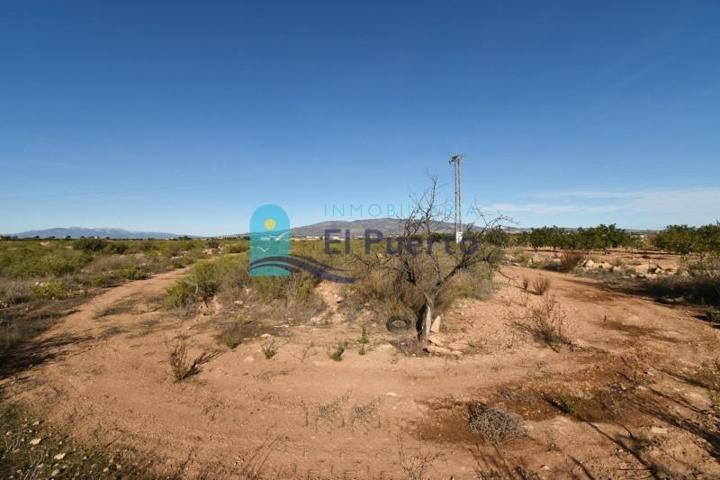 Casa con terreno en venta en Fuente Álamo de Murcia, Cuevas de Reyllo photo 0