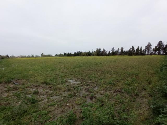 Parcela en venta en Chipiona, Pinar de la Villa photo 0