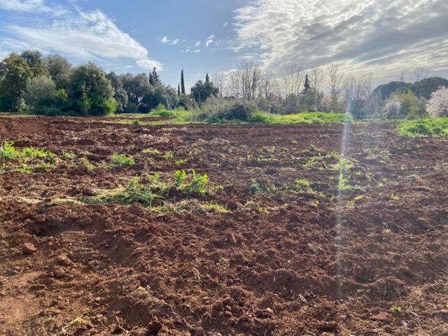 Parcela en venta en Córdoba, Trassierra photo 0