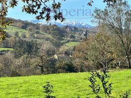 Chalet en venta en Siero, Siero photo 0