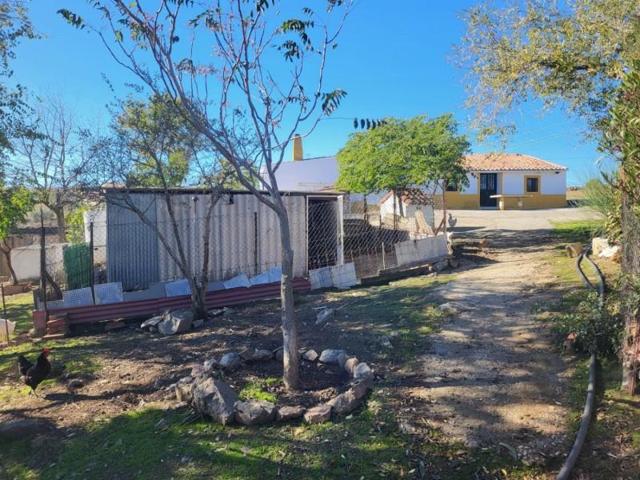 Casa con terreno en venta en Azuaga, Azuaga photo 0