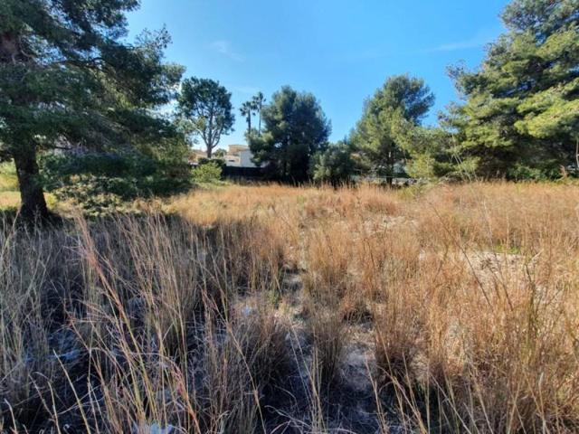 Terreno en venta en Cunit, Can Nicolau photo 0