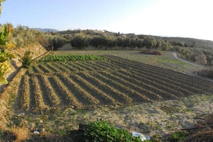 Terreno en venta en Otura, Vega de granada zona sur photo 0