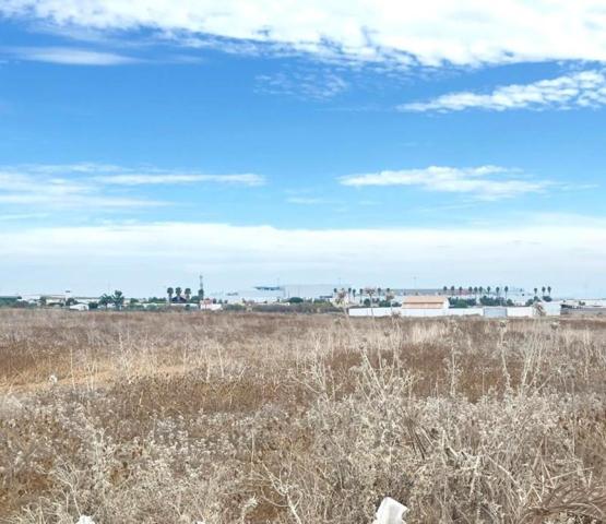 Terreno en venta en Sanlúcar de Barrameda, Caňada del Amarguillo, 11540 photo 0