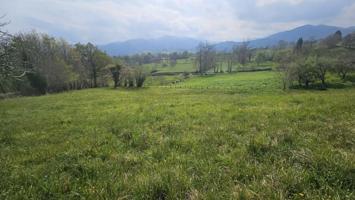 Terreno en venta en Piloña, Pilona photo 0