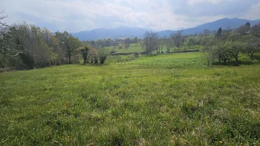 Terreno en venta en Piloña, Pilona photo 0