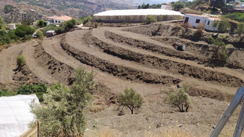 Parcela en venta en Torrox, Campo photo 0