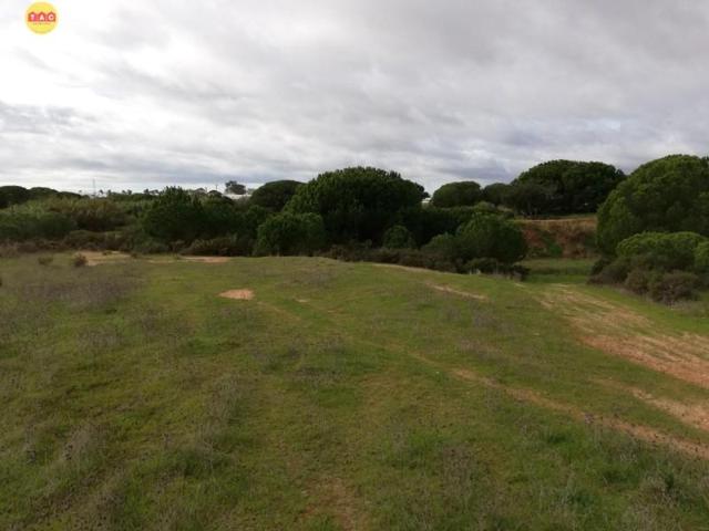 Terreno en venta en Lepe, Rural photo 0