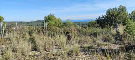 Parcela en venta en Segur de Calafell, Les Brises de Calafell - Segur de Dalt photo 0