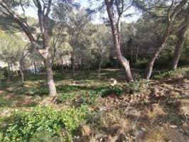 Terreno en venta en Cunit, Els Jardins photo 0