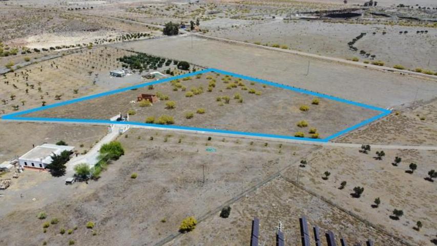 Casa con terreno en venta en Tabernas, Campo de tabernas photo 0