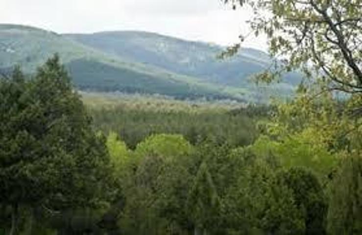 Parcela en venta en Prádena, Pradena- Segovia photo 0