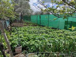 Chalet en venta en Lucena, Lucena photo 0