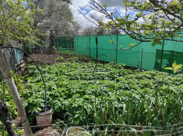 Chalet en venta en Lucena, Lucena photo 0