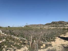 Terreno en venta en Monforte del Cid photo 0