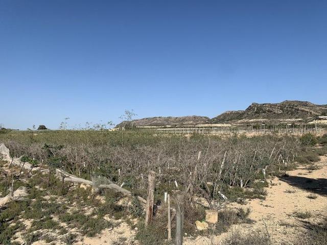 Terreno en venta en Monforte del Cid photo 0