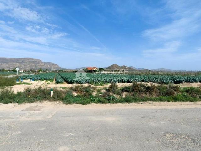 Terreno en venta en Monforte del Cid, Estacion photo 0