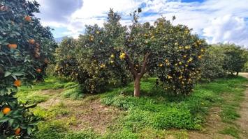 Terreno en venta en Terque, South of spain photo 0