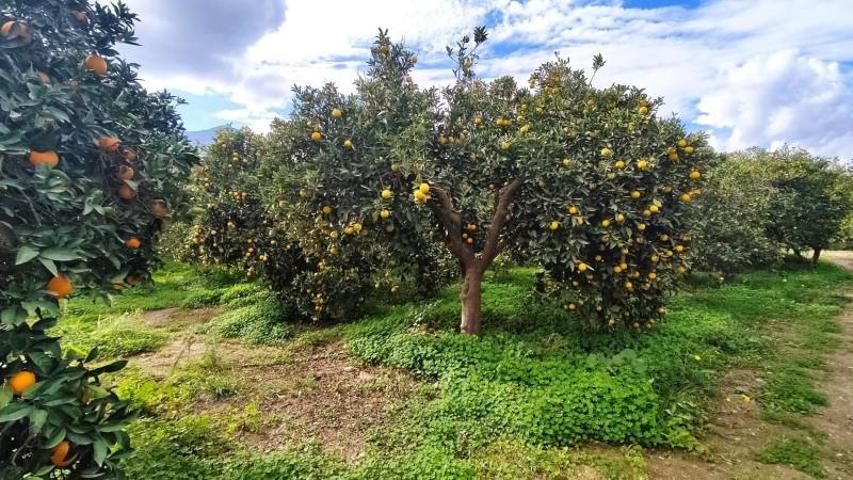 Terreno en venta en Terque, South of spain photo 0