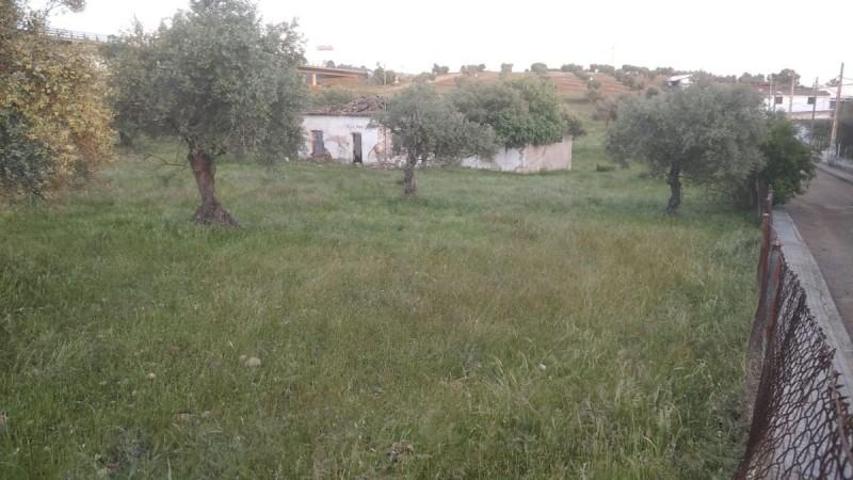 Chalet en venta en Mérida, Poligonos - Carrion photo 0