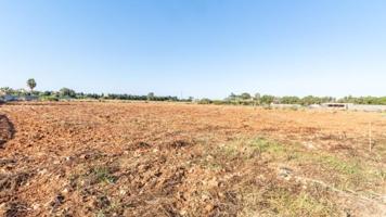 Terreno en venta en Denia, LM KM 7 AL 11-PY ALMADRAVA photo 0