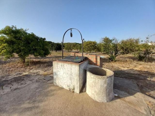 Terreno en venta en Almonte, Almonte photo 0