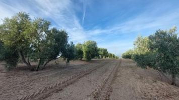 Chalet en venta en Quesada, Aldeas photo 0