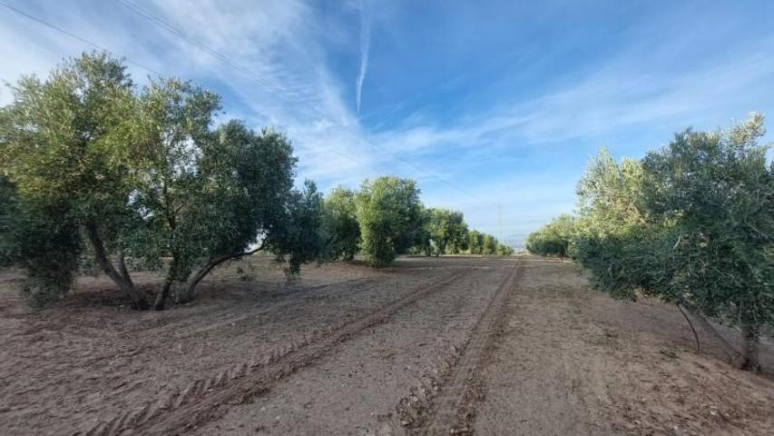 Chalet en venta en Quesada, Aldeas photo 0