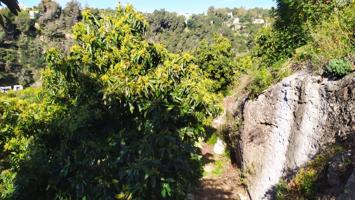 Parcela en venta en Frigiliana, Almachares photo 0