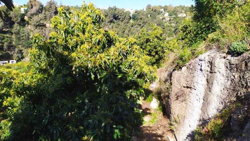 Parcela en venta en Frigiliana, Almachares photo 0