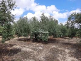 Terreno en venta en Lucena, Lucena photo 0