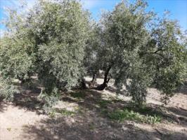 Terreno en venta en Lucena, Los Santos photo 0