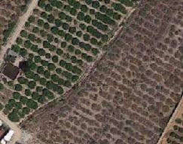 Terreno en venta en Llaurí, Comunidad valenciana photo 0