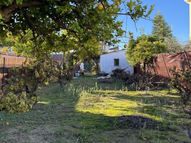 Terreno en venta en Salteras, Andalucia photo 0
