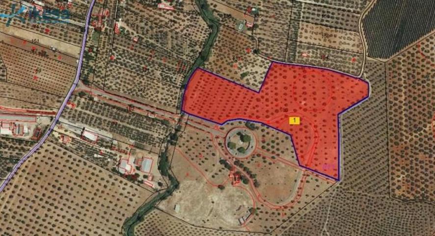 Terreno en venta en Bollullos de la Mitación, Andalucia photo 0