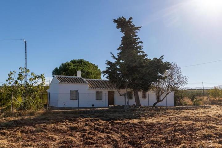 Terreno en venta en Archidona, Andalucia photo 0
