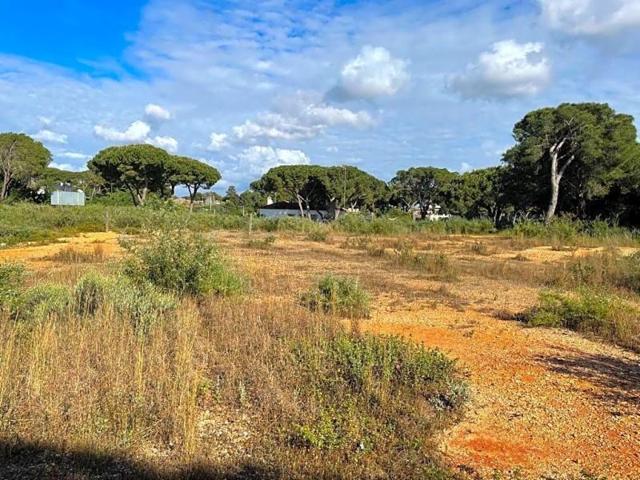 Terreno en venta en Chiclana de la Frontera, Camino de la Vega, 11130 photo 0