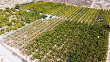 Casa con terreno en venta en Cieza, Paraje - de la Serrana photo 0