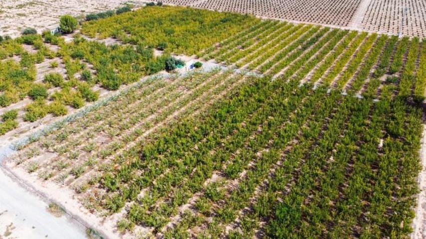 Casa con terreno en venta en Cieza, Paraje - de la Serrana photo 0