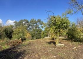 Terreno en venta en Oleiros, Rúa Concheira, 15177 photo 0