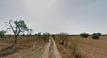 Terreno en venta en Ses Salines, Ses Salines (Mallorca) photo 0
