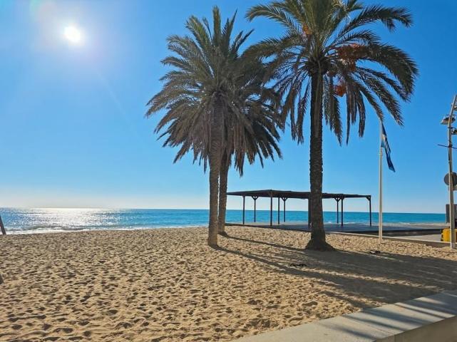 Local comercial en venta en Calafell, Platja de Calafell photo 0