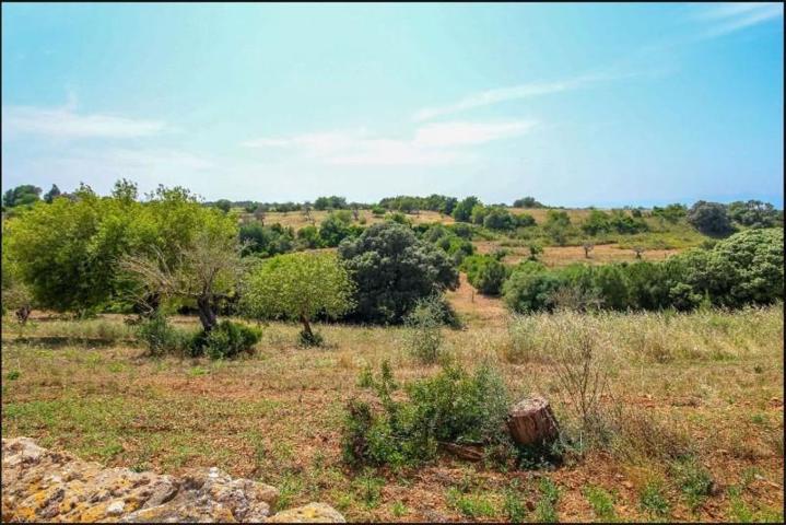 Chalet en venta en Manacor, Manacor Centro photo 0