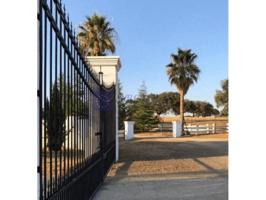 Chalet en venta en Cañaveral photo 0