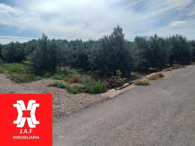 Terreno en venta en Moncada, Centro photo 0